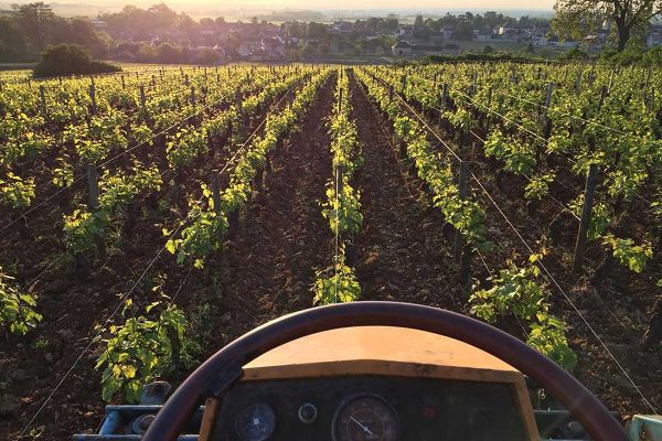 Domaine Joseph Voillot - Pommard 1er cru les Rugiens - Rouge - 2022 - 0,75