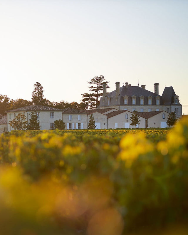 Chateau Grand Puy Lacoste - Chateau Grand Puy Lacoste Aop Pauillac - Rouge - 2021 - 0,75