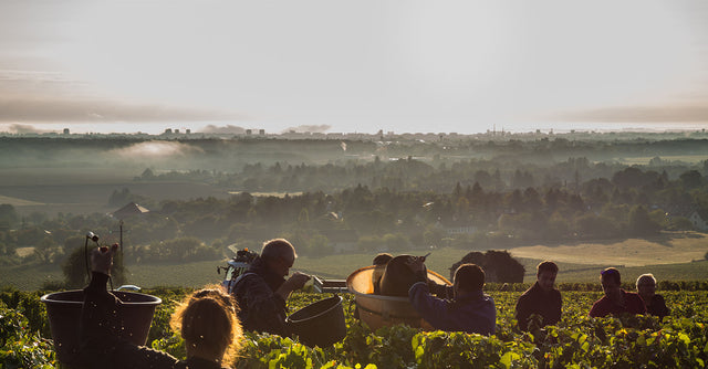 Domaine Laurent Mouton - Givry - Rouge - 2023