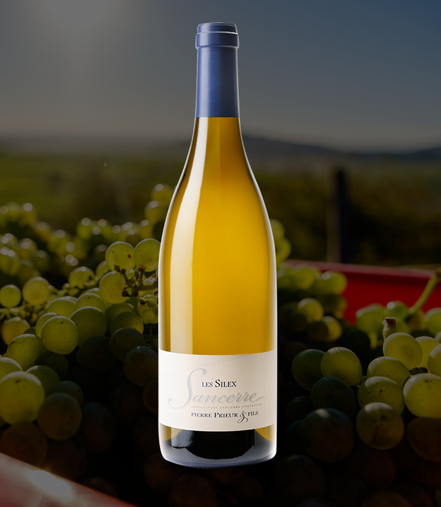 Pierre Prieur - Sancerre Les Silex - Blanc - 2023 - 0,75