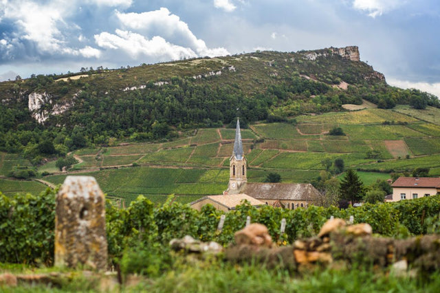 Domaine Gaillard - Macon Charnay - Blanc - 2023 - 0,75