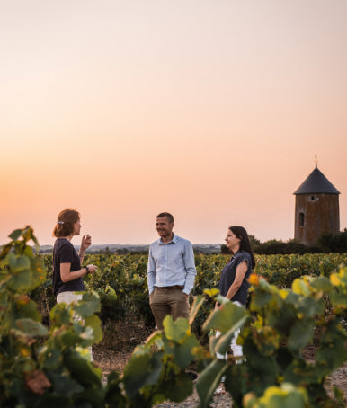 Domaine Menard Gaborit - Les Pieds sur Terre - Blanc - Muscadet Sèvre et Maine sur lie - 2022