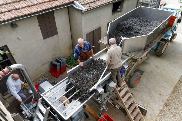 Domaine Joseph Voillot - Bourgogne Pinot Noir - Rouge - 2023