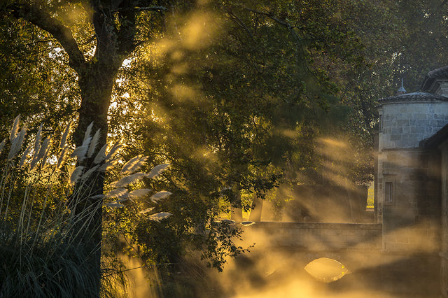 Chateau D Issan - Moulin D Issan Aop Bordeaux Superieur - Rouge - 2017 - 0,75