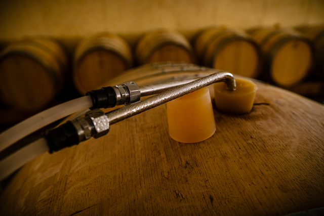 Pierre Prieur - Domaine de Saint Pierre - Sancerre - Blanc - 2023