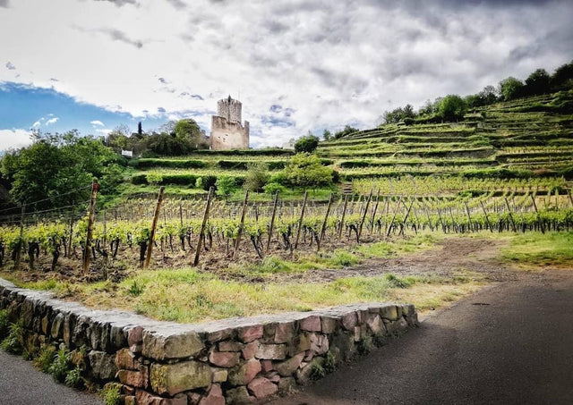 Domaine Kirrenbourg - Riesling Roche Granitique - Blanc - 2022