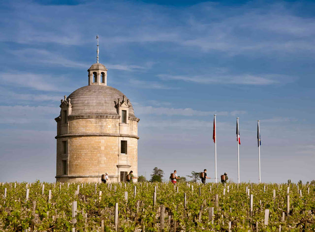 Chateau Latour - Les Forts De Latour Aop Pauillac - Rouge - 2019 - 0,75