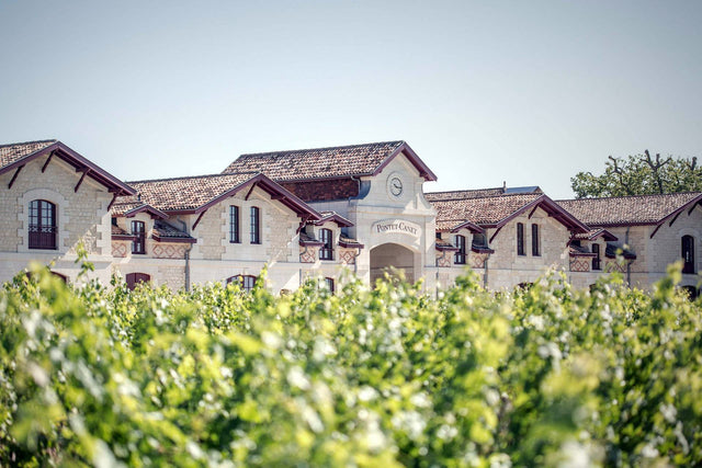 Chateau Pontet Canet - Chateau Pontet Canet Aop Pauillac - Rouge - 2021 - 0,75