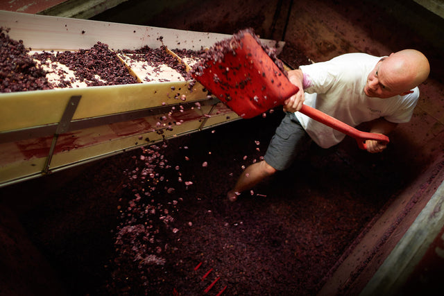 Domaine David Duband - Bourgogne - Rouge - 2021