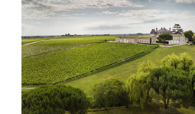 Chateau Lacoste Borie - Chateau Lacoste Borie Aop Pauillac - Rouge - 2017 - 0,75