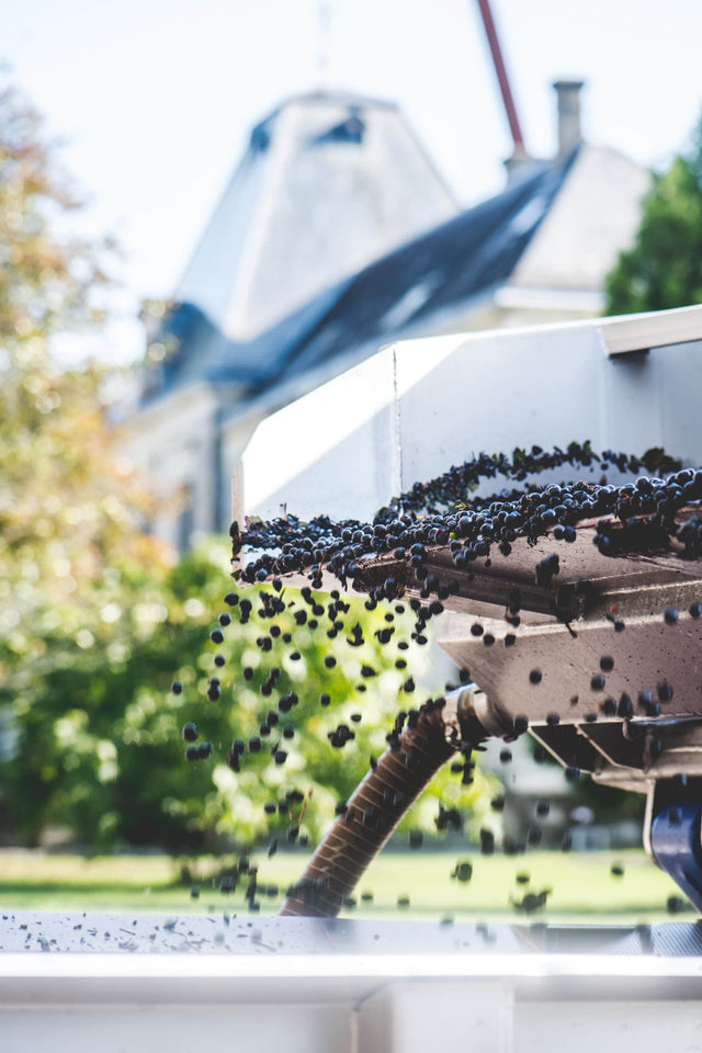 Chateau D'Arsac - Chateau D'Arsac - Rouge - 2016