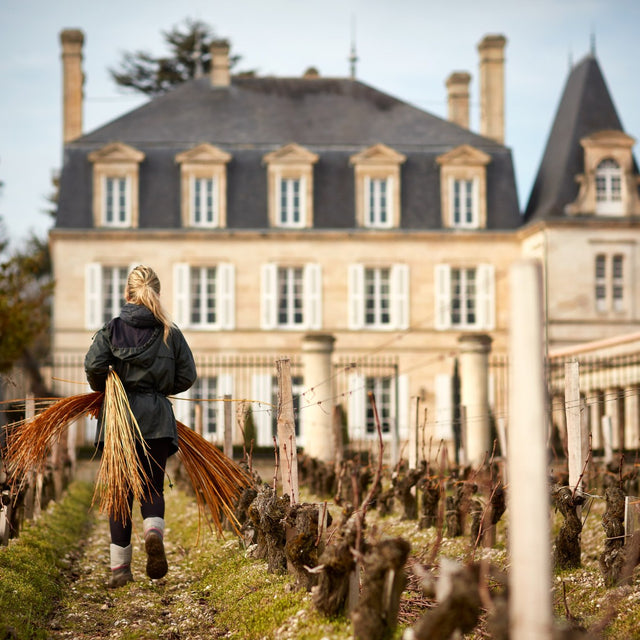 Chateau Grand Puy Lacoste - Chateau Grand Puy Lacoste Aop Pauillac - Rouge - 2021 - 0,75