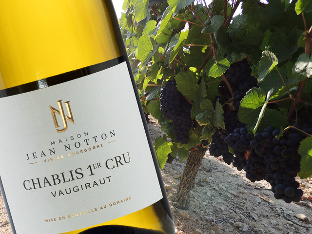 Maison Jean Notton - Chablis Vaugiraut 1er cru - Blanc - 2022 - 0,75