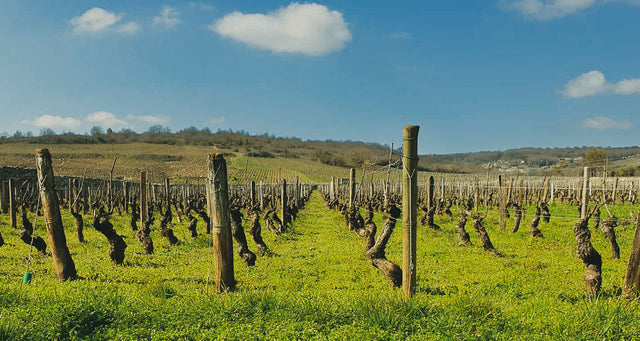 Domaine Desvignes - Givry - Blanc - 2022 - 0,75