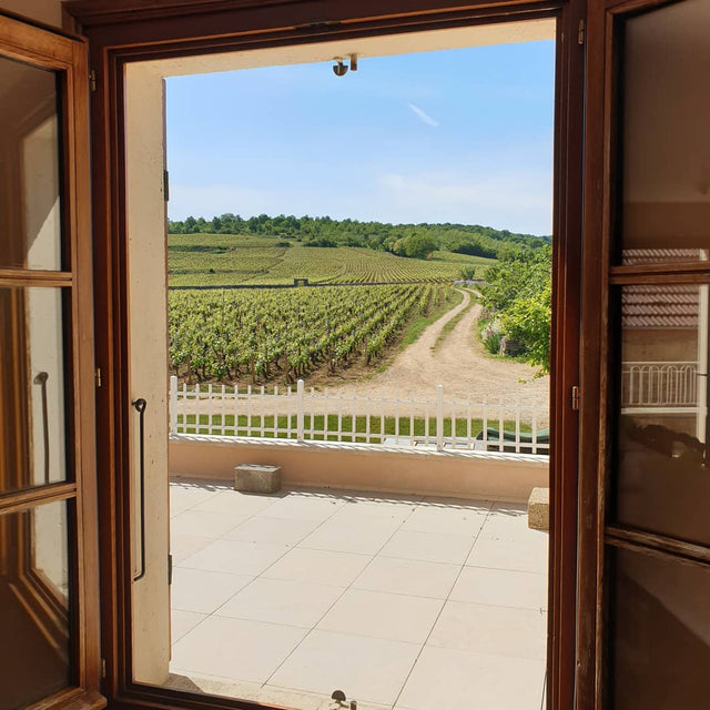 Domaine Desvignes - Givry - Blanc - 2022 - 0,75