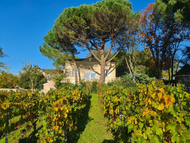 Chateau Hermitage Mazeyres - Chateau Hermitage Mazeyres Aop Pomerol - Rouge - 2020 - 0,75