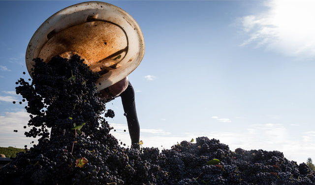Domaine Laurent Mouton - Givry - Rouge - 2023