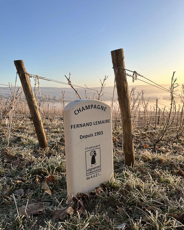 Champagne Fernand Lemaire - Grande Reserve 1er Cru - Effervescent Blanc - Nv - 0,75