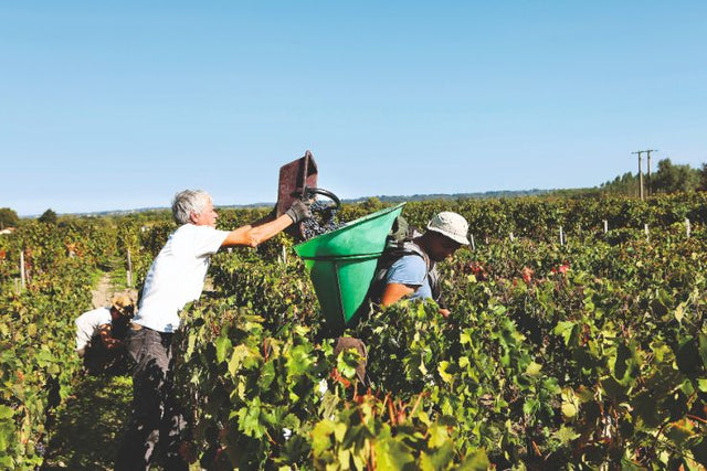 Chateau Deyrem Valentin - Chateau Deyrem Valentin - Rouge - 2018
