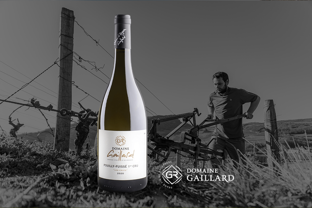 Domaine Gaillard - Pouilly Fuisse 1er Cru Les Crays - Pouilly Fuisse 1er Cru - Blanc - 2023