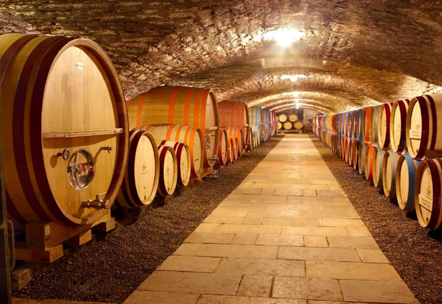 Au Pied Du Mont Chauve - Saint Aubin 1Er Cru Le Charmois - Aop Saint Aubin 1Er Cru - 2022