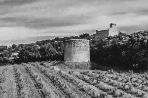 Domaine Du Grand Tinel - Collection Alexis Establet - Rouge - 2016 - 0,75