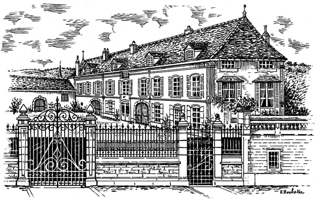 Domaine Capuano Ferreri - Santenay Vieilles Vignes - Rouge - 2022