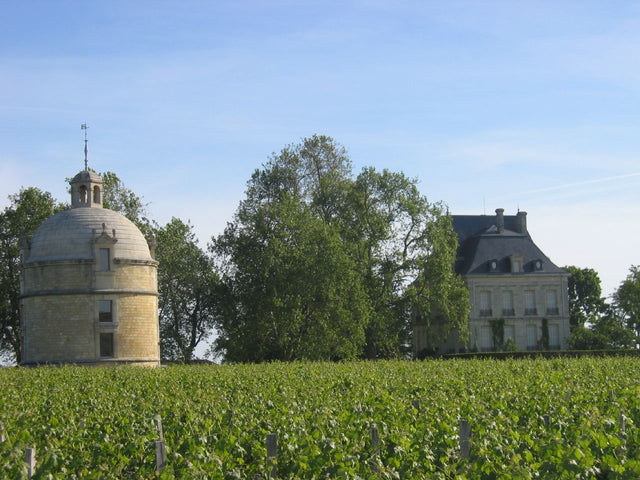 Chateau Latour - Les Forts De Latour Aop Pauillac - Rouge - 2019 - 0,75