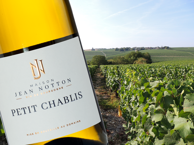 Maison Jean Notton - Petit Chablis - Blanc - 2022 - 0,75