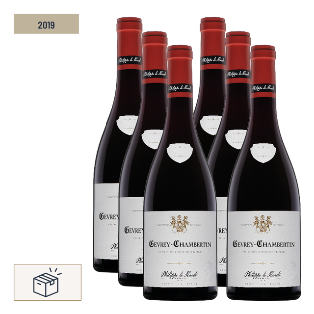 Chateau Philippe Le Hardi - Gevrey Chambertin - Rouge - 2019 - 0,75