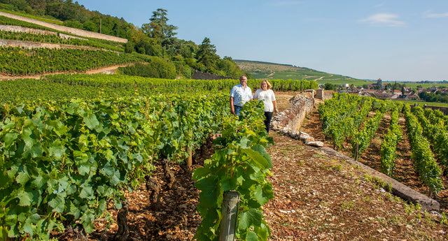 Domaine Chevillon Chezeaux - Hautes cotes de nuits - Rouge - 2022 - 0,75