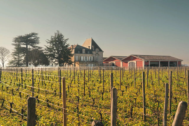 Chateau L'Evangile - Chateau L'Evangile Aop Pomerol - Rouge - 2013 - 0,75