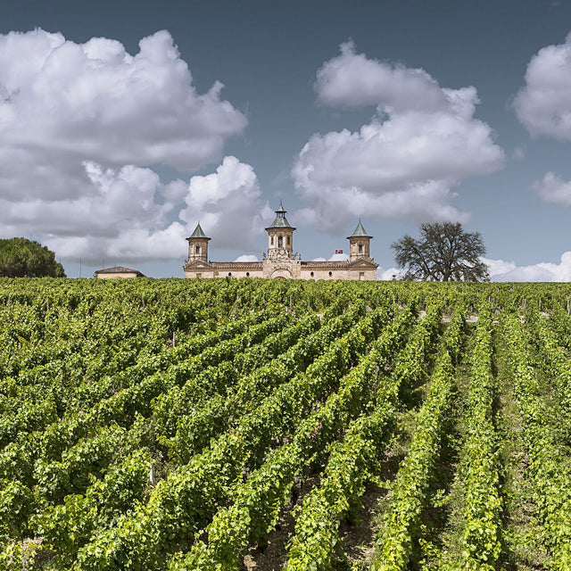 Chateau Cos D'Estournel - G D'Estournel Aop Medoc - Rouge - 2020 - 0,75