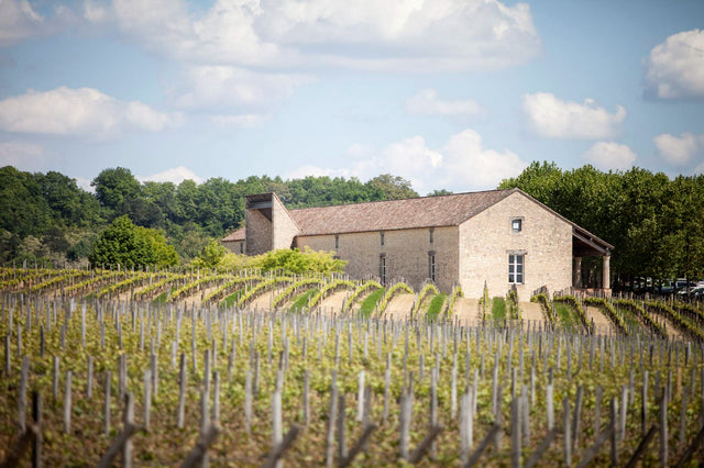 Chateau Cap De Faugeres - Cap De Faugeres Aop Castillon Cote De Bordeaux - Rouge - 2018 - 0,75