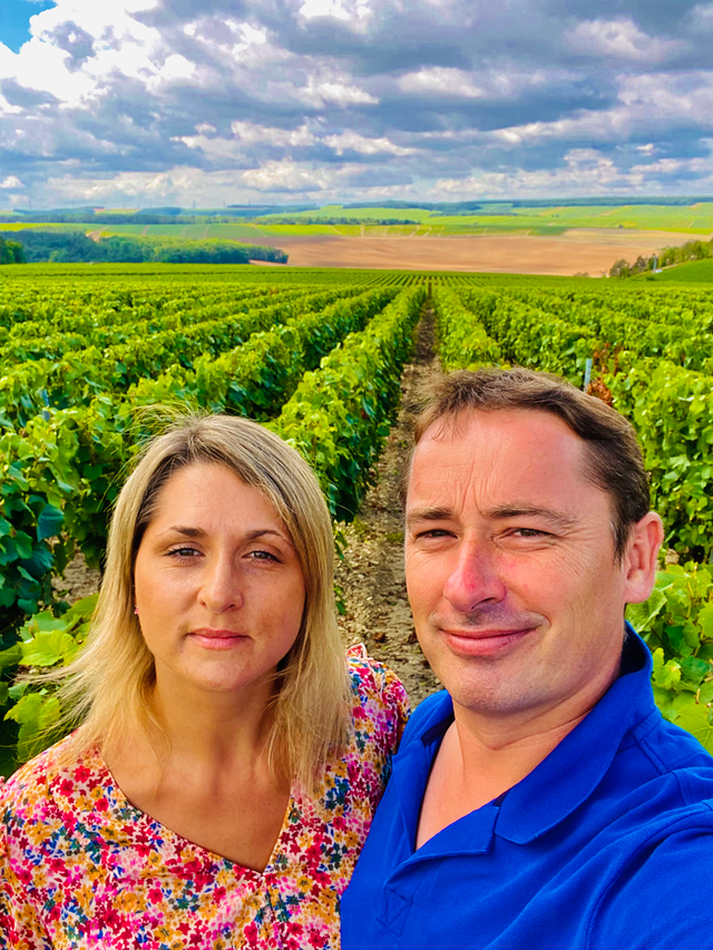 Maison Jean Notton - Chablis Vieilles Vignes - Blanc - 2022 - 0,75