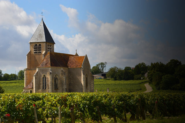 Domaine Jean Marc Brocard - Prieure Saint Come Chablis - Blanc - 2022 - 0,75