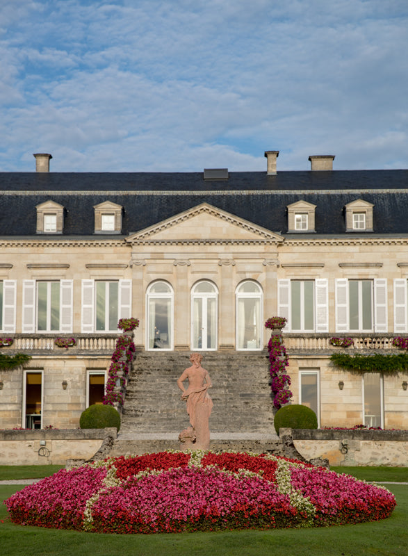 Chateau Ducru Beaucaillou - Le Petit Ducru de Ducru-Beaucaillou - Rouge - 2019