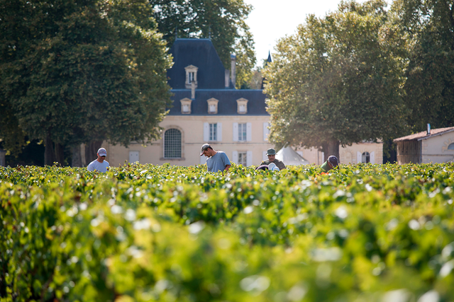 Chateau Cantemerle - Chateau Cantemerle Aop Haut Medoc - Rouge - 2023 - 0,75