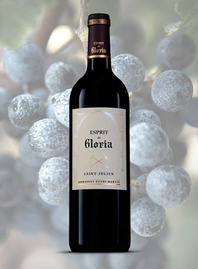 Chateau Gloria - Esprit De Gloria Aop Saint Julien - Rouge - 2017 - 0,75