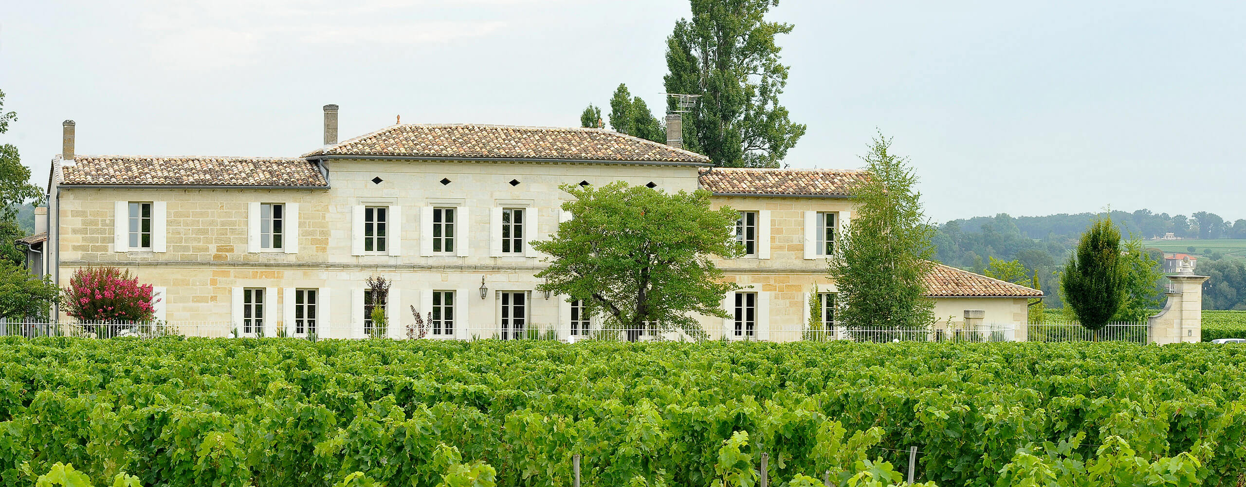 Chateau Grand Corbin Despagne - Chateau Grand Corbin Despagne Aop Saint Emilion Grand Cru - Rouge - 2020 - 0,75