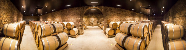 Chateau Philippe Le Hardi - Gevrey Chambertin - Rouge - 2019 - 0,75