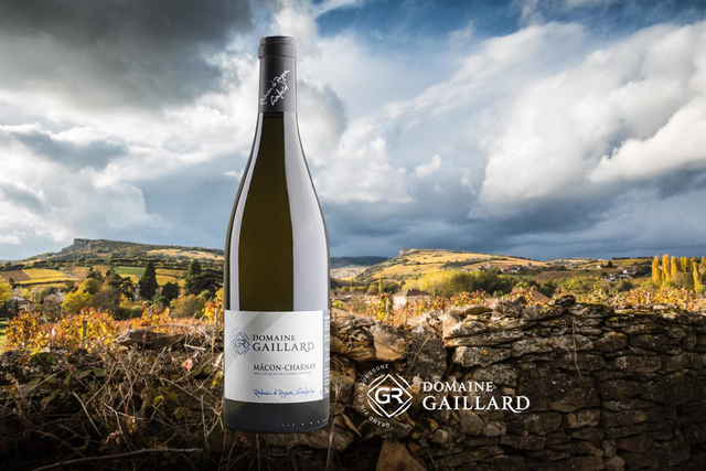 Domaine Gaillard - Macon Charnay - Blanc - 2023 - 0,75