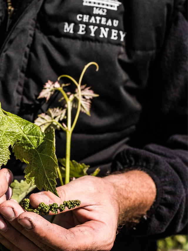 Chateau Meyney - Chateau Meyney - Rouge - 2018