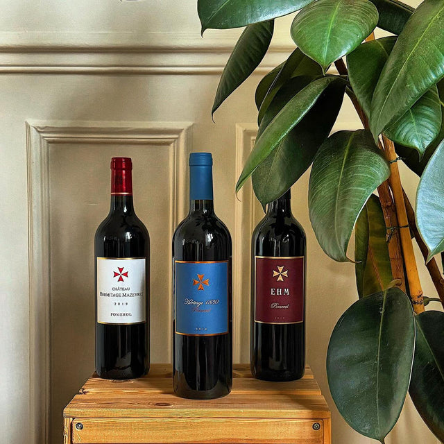 Chateau Enclos Haut Mazeyres - Chateau Enclos Haut Mazeyres Aop Pomerol - Rouge - 2019 - 0,75