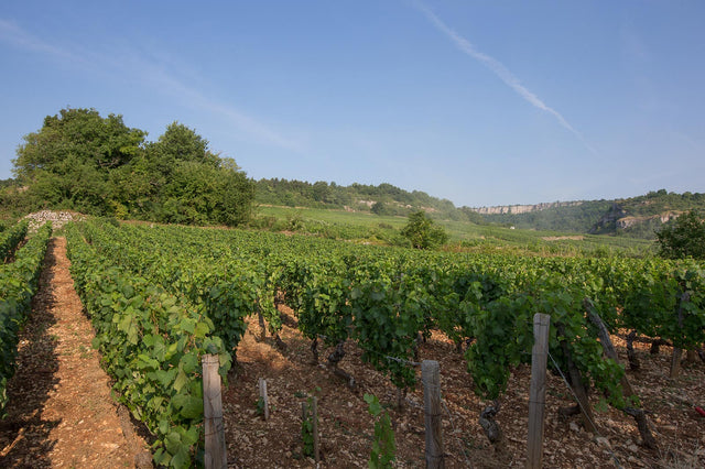 Domaine Germain Pere Et Fils - Bourgogne Hautes Cotes de Beaune - Rouge - 2022