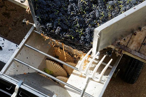 Domaine Joseph Voillot - Pommard 1er cru Clos Micault - Rouge - 2022 - 0,75