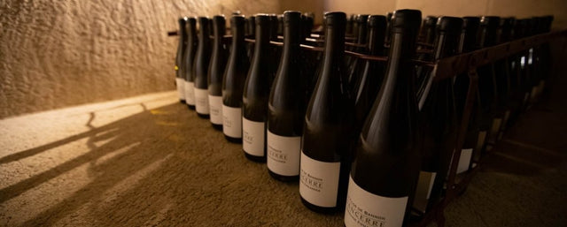 Domaine Fouassier - Sancerre Les Chasseignes - Blanc - 2021 - 0,75