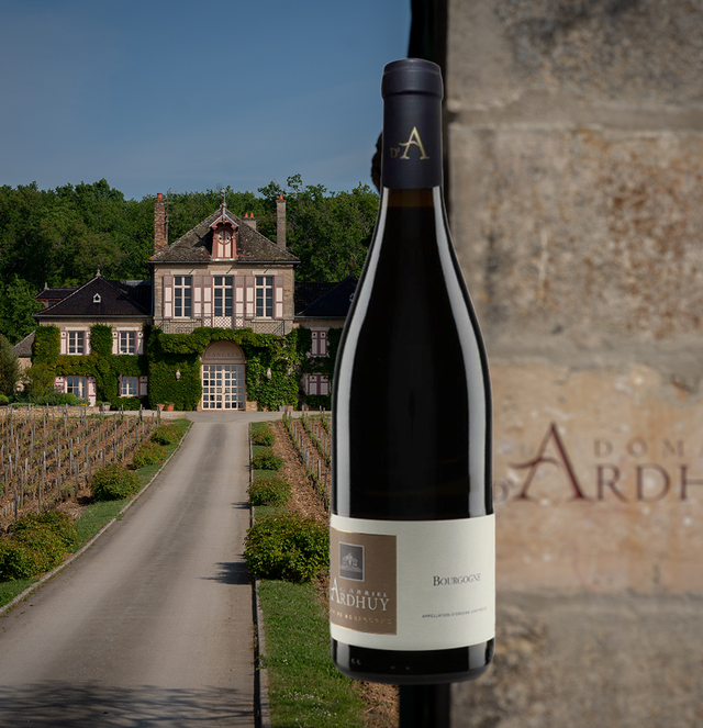 DOMAINE D'ARDHUY - Bourgogne Pinot Noir - Rouge - 2023