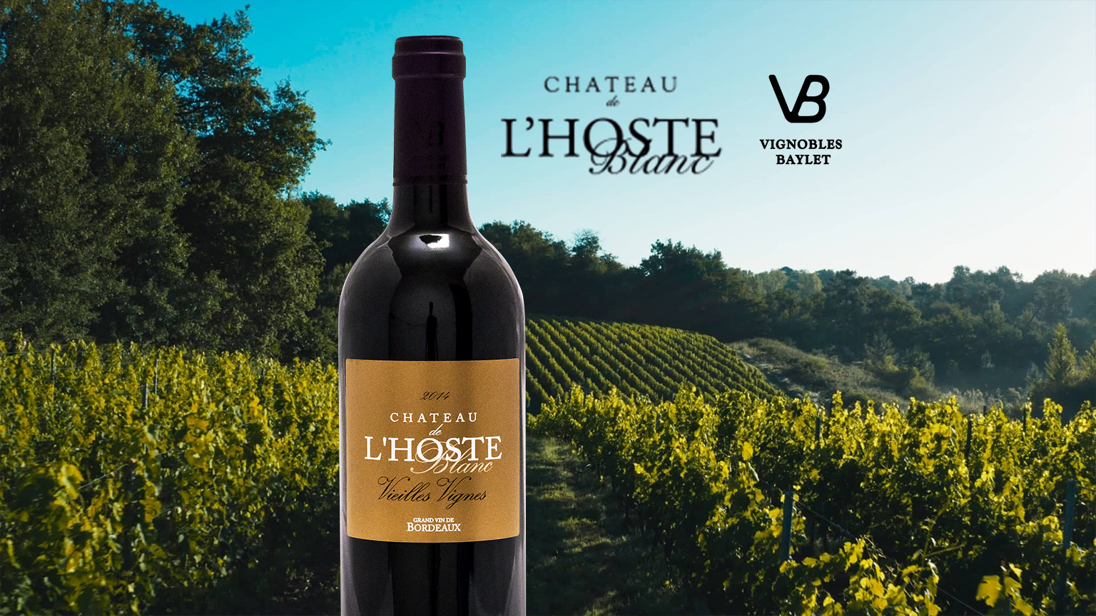 Vignobles Baylet - Chateau De L'Hoste Aop Bordeaux Supérieur - Rouge - 2020 - 0,75