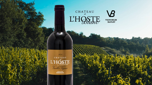 Vignobles Baylet - Chateau De L'Hoste Aop Bordeaux Supérieur - Rouge - 2020 - 0,75